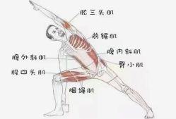 点击看大图 -昕孕瑜伽·孕妇瑜伽·产后修复