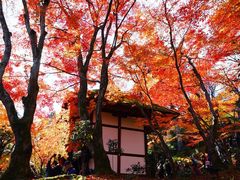 -常寂光寺