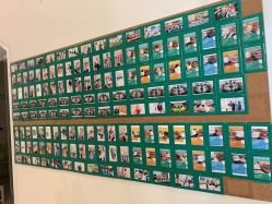 -青苗儿童口腔(长楹天街购物中心)