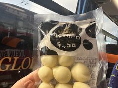 -支芴洞爷国立公园