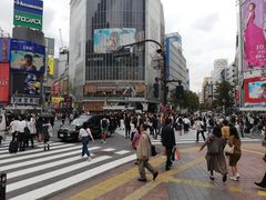 -涩谷全向十字路口