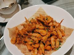 -辛香味烧鱼馆·非遗技艺·排骨红烧肉(光谷医药园店)