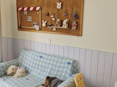-汪说·狗咖·拼豆·宠物周边DIY(旺城大厦店)