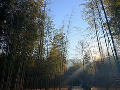 -陶祖圣境风景区