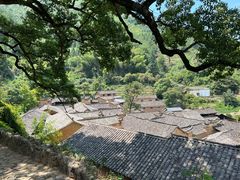-杨家堂村