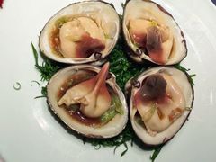 -子福慧(虹桥店)
