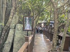 -三亚亚龙湾人间天堂鸟巢度假村
