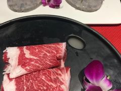-食鲜捞火锅(湖西路店)