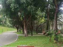 -深圳国际园林花卉博览园