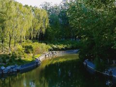 -大兴滨河森林公园