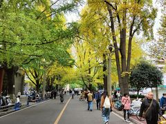 -四川大学(华西校区)