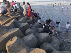 -南汇嘴观海公园