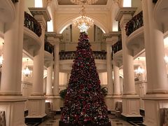 -Salon de Ville浦江汇(上海外滩华尔道夫酒店店)