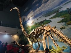 -自贡恐龙博物馆