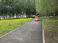 -长白岛森林公园