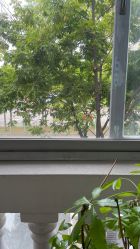 -心俞普拉提运动