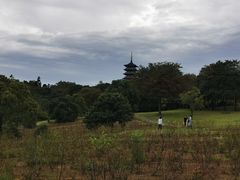 -宜兴龙背山森林公园