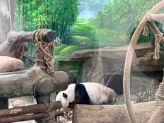 -灵玲国际马戏城