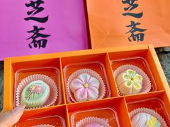 -乾芝斋·苏式糕点·碧螺春茶酥(平江路店)