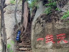 -六里坪国家森林公园