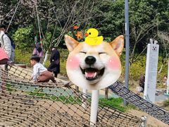 -杭州少年儿童公园