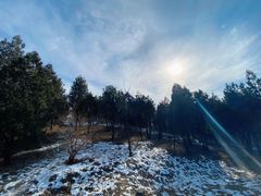-鬼笑石后山停车场