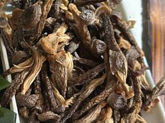 鹿茸菇-清新一盅正宗清远鸡(环城路店)