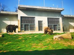 -苏州上方山国家森林公园
