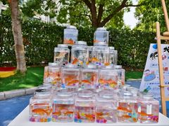 -小风车金桥丽都幼儿园(金桥店)