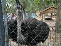 -长白岛森林公园