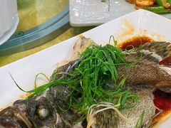 清蒸石斑鱼-濠江渔港酒楼(湾仔海鲜街，会展中心店)