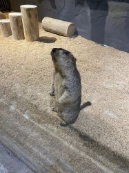 -酷嗒动物文化乐园(cutezoo西溪乐天城店)