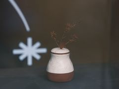 -溯洄咖啡VORTEX COFFEE