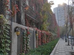 -天津五大道文化旅游区