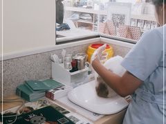 -谐和贝康宠物医院24小时·宠保定点(急重症转诊中心)