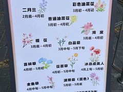 -径山花海