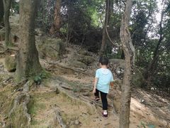 -火炉山森林公园