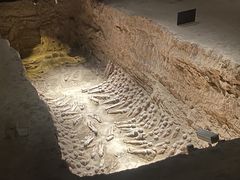 -汉景帝阳陵博物院