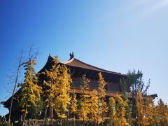 -香山寺