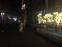 -中旅阿那亚九龙湖·公主酒店