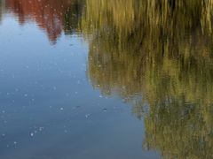 -浙江大学(紫金港校区)