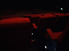 厅内-万达影城(保定万博广场激光IMAX店)