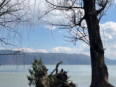 -大理洱海