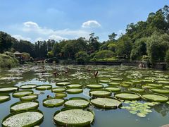 -广州莲花山旅游区