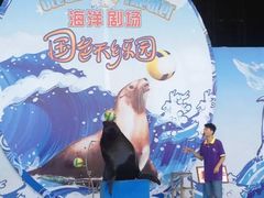 -国色天乡三期陆地乐园