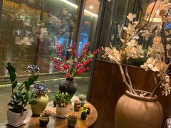 店内布置-泉畔人家·老济南经典鲁菜(大明湖店)