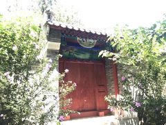 -阳台山自然风景区