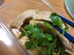 -九斤黄三黄鸡专卖店