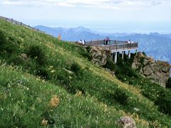 -白草畔自然风景区