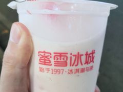 -蜜雪冰城·冰淇淋与茶(长郡中学店)